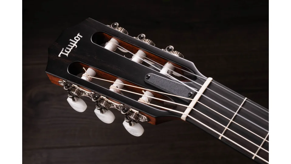 312ce-NSapeleアコースティック エレクトリック ギター | Taylor Guitars